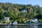 Many small houses on hillside with lots of trees