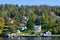 Many small houses on hillside with lots of trees on sunny day.