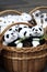 Many soft toys wicker baskets of panda,