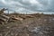 Many softwood logs lie along the road in mud and puddles on a cloudy fall afternoon at an old abandoned sawmill