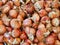Many Spanish Onions For Sale at Fruit and Vegetable Market