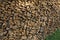 A many of split firewood piled up in a woodpile, harvested timber, outdoors, background