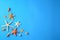 Many starfishes and shells on blue background, flat lay. Space for text