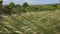 Many stipa plants on the Hungarian field in springtime