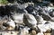 Many stone piles near a river