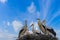 Many storks in a nest against a blue sky with white fluffy clouds