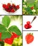 Many strawberries closeup