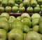 many succulent green apples