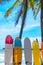 Many surfboards beside coconut trees in summer beach with sun light and blue sky background.