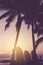 Many surfboards beside coconut trees at summer beach with sun light and blue sky background