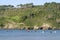 Many surfers sit and lie on their surfboards in front of green overgrown rocks on a beach in northern Spain