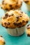 Many tasty homemade vanilla muffins with chocolate chunks on bright white background.