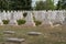 Many tombs in rows, graves on military  cemetery