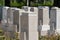 Many tombs in rows, graves on military  cemetery