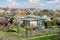 Many traditional german small garden allotment area with huts, tree flower vegetable growing at warm sunny summer day