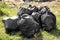 Many trash bags full of garbage on grass outdoors. Environmental Pollution concept