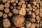 Many tree trunks dark brown old weathered background logging fuel fireplace