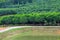 Many trees in forest, road to nature or country road.