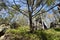 Many trees at the green hiking trail in spring at Elbe Sandstone Mountains in beautiful Saxon Switzerland near Bohemian Switzerlan