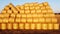 Many twisted bales pressed dry wheat straw field after wheat harvest sunset dawn