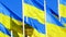 Many Ukrainian Flags flutter on wind over blue sky