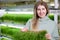 Many varieties wheat for microgreens germinate in greenhouse sale to vegetarians
