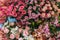 Many various pink and red flowers Pink rose flowers bouquet background