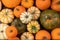 Many various pumpkins background