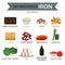 Many vegan sources of iron, food info graphic, vector