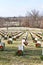 Many veteran graves decorated with wreaths in Jefferson Barracks National Cemetery