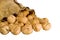 Many walnuts falling out burlap sack isolated