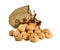 Many walnuts falling out burlap sack isolated