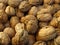 Many walnuts. Walnut crop, harvest, production background.