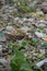 many of waste garbage plastic, bottle, paper for background, pollution from garbage dump many, yard of plastic waste trash dirty r