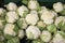 Many white cauliflowers for sale in greengrocers stall