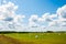 Many white sacks of mown and packed hay laid out on the green field surrounded by scenic landscape