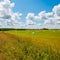 Many white sacks of mown and packed hay laid out on the green field surrounded by scenic landscape