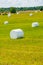 Many white sacks of mown and packed hay laid out on the green field surrounded by scenic landscape