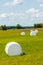 Many white sacks of mown and packed hay laid out on the green field surrounded by scenic landscape