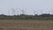Many wind mills