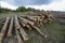 Many wood logs