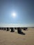 Many wooden beach huts on seacoast under blue sky