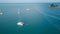 Many Yachts Anchored in Bay. Aerial View