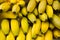 Many yellow bananas