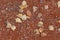 Many yellow fallen leaves on the ground of small orange stones in the fall during leaf fall. Backgrounds and wallpapers with seaso
