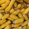 many yellow Fresh cobs corn cobs closeup