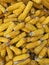 many yellow Fresh cobs corn cobs closeup