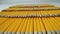 Many yellow pencils lie in rows. Macro shooting with a 24 mm Laowa lens
