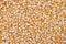 Many Yellow Popcorn Kernels Background