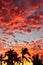 Manzanillo Red Sunset 5